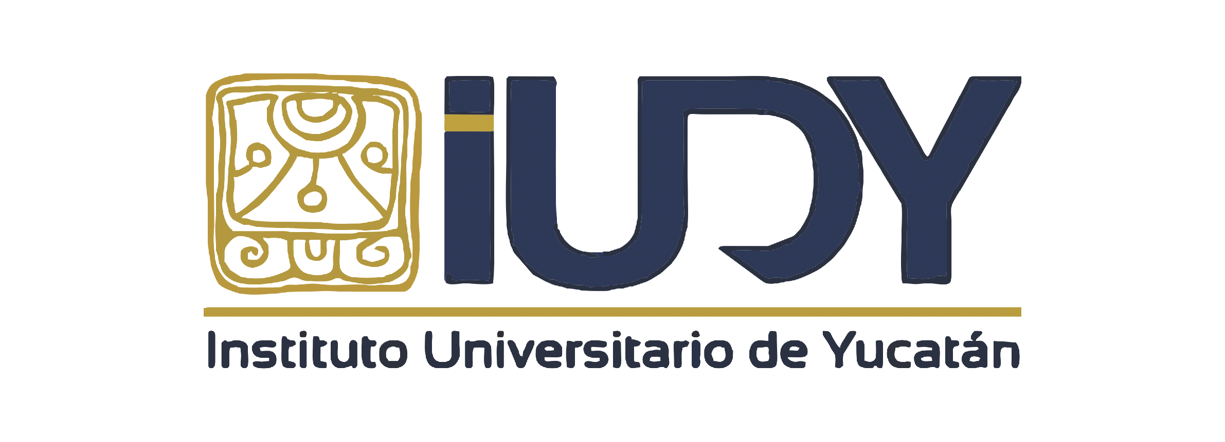 Aula Virtual IUDY